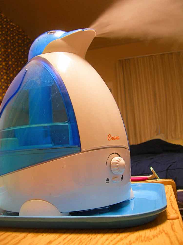 Should You Leave a Humidifier Running All Day During the Winter?
